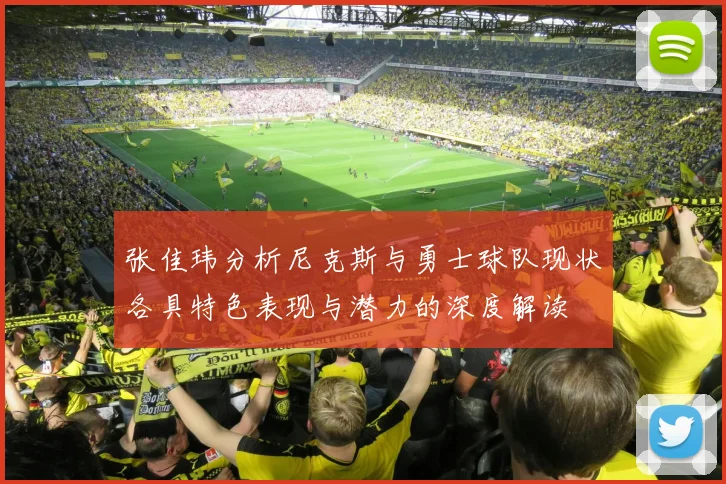 张佳玮分析尼克斯与勇士球队现状各具特色表现与潜力的深度解读
